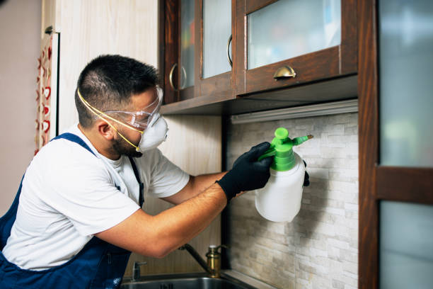 Best Best Pest Control Companies  in Port Allen, LA