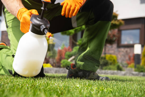 Pest Control Cost in Port Allen, LA