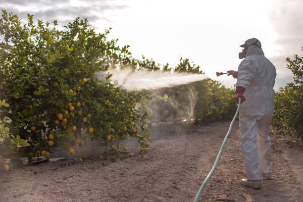 Pest Prevention Services in Port Allen, LA