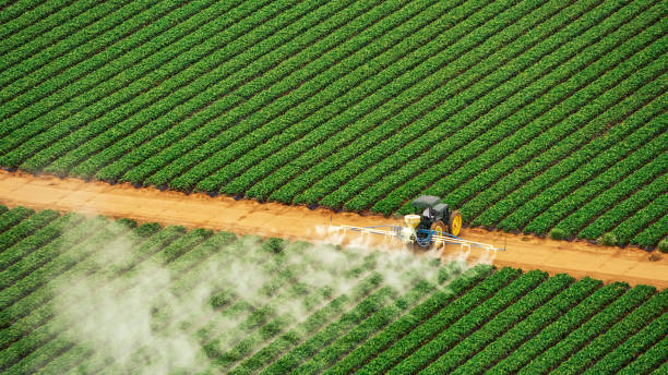 Best Commercial Pest Control Services  in Port Allen, LA