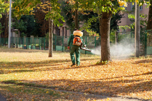 Best Pest Removal Services  in Port Allen, LA