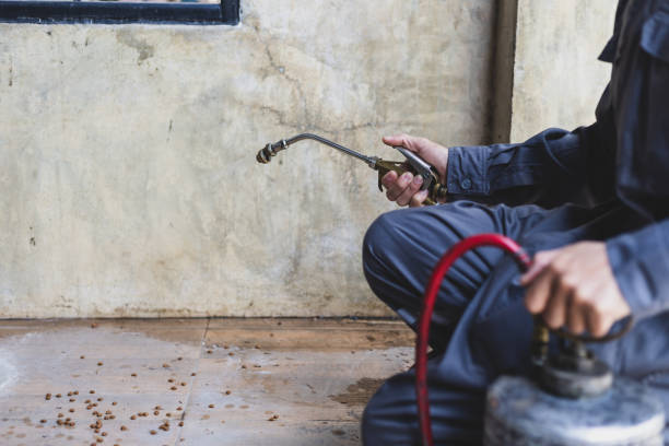 Best Pest Prevention Services  in Port Allen, LA