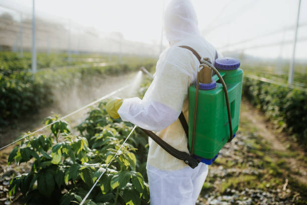 Best Emergency Pest Control  in Port Allen, LA